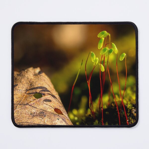 Item preview, Nature's Tiny Sprouts designed and sold by Veikko  Suikkanen.