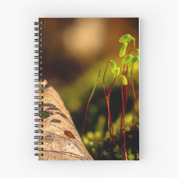Item preview, Nature's Tiny Sprouts designed and sold by Veikko  Suikkanen.