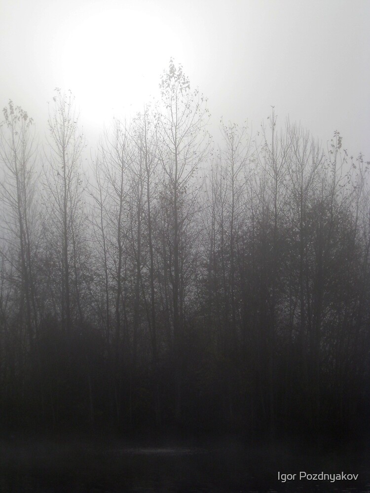 "Lake in Kent (WA), near Seattle, Sunrise through the Fog" by Igor