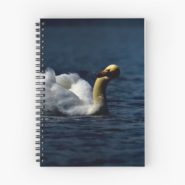 Item preview, Frozen reality - Beautiful nature 563 designed and sold by deep-sea-birds.