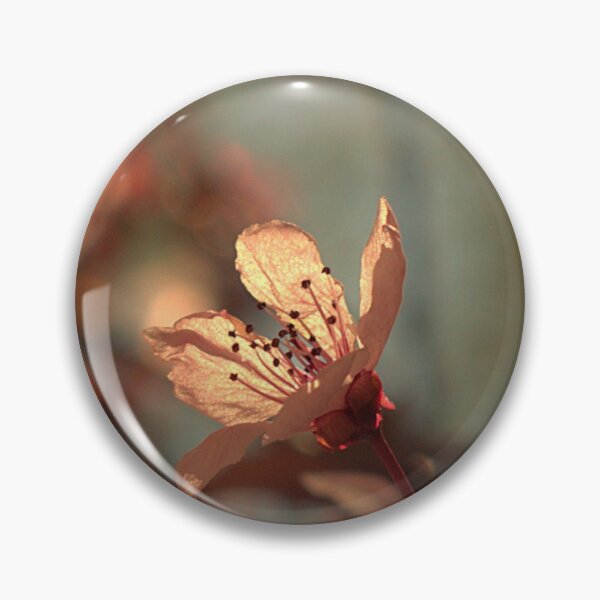 Artikelvorschau, Cherry Blossom 8: Crop entworfen und verkauft von MangoSeeds2.