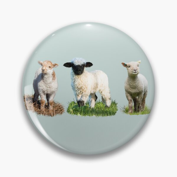 Item preview, Lamb Placement Print designed and sold by Jane Stanley Photography.