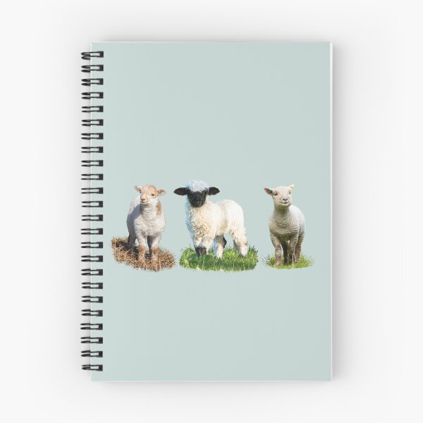 Item preview, Lamb Placement Print designed and sold by Jane Stanley Photography.
