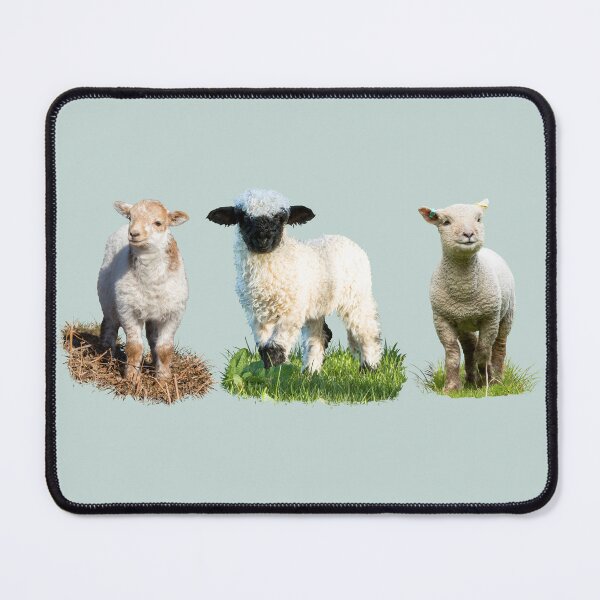 Item preview, Lamb Placement Print designed and sold by Jane Stanley Photography.