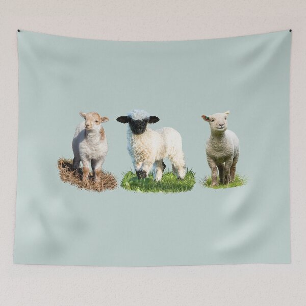 Item preview, Lamb Placement Print designed and sold by Jane Stanley Photography.