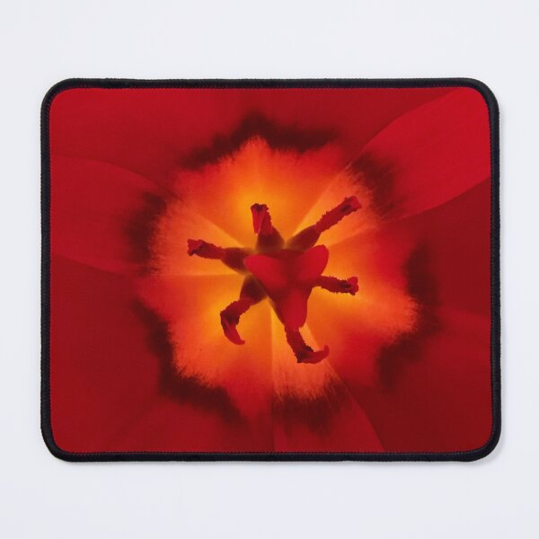 Item preview, Tulip Heart designed and sold by Betsy Phillips.