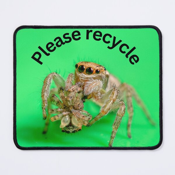 Item preview, Eco-Friendly Jumping Spider designed and sold by Cornishinoz.