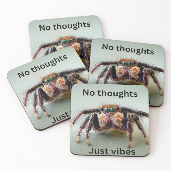 Item preview, No Thoughts, Just vibes - Jumping spider designed and sold by Cornishinoz.