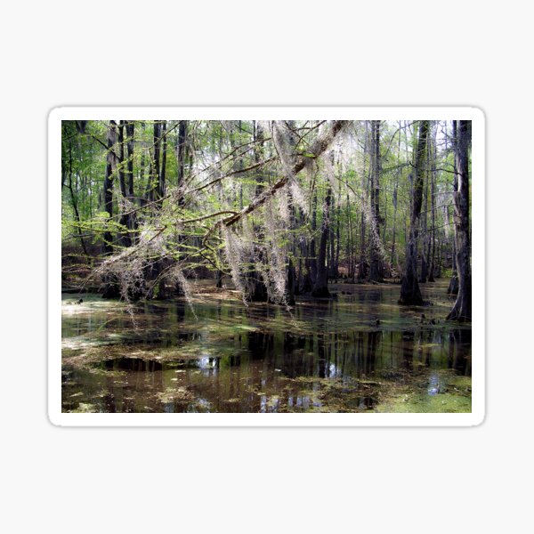 Item preview, Spanish Moss designed and sold by acellis13.