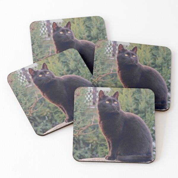 Item preview, Golden-Eyed Black Cat in the Garden designed and sold by MB-CatPrints.