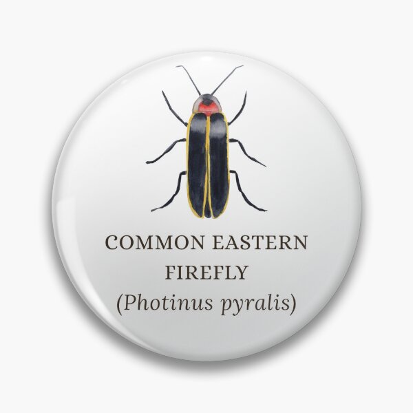 Item preview, Common Eastern Firefly designed and sold by Kindred & Thistle.
