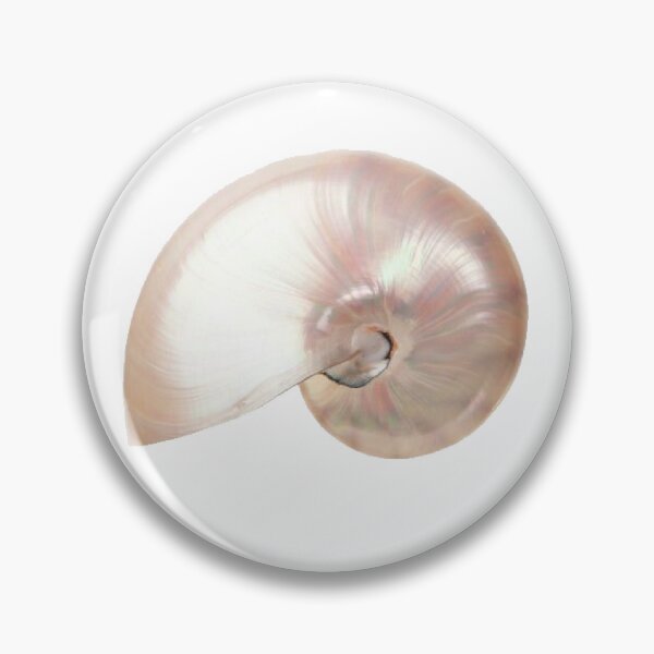 Item preview, pearly shiny pink nautilus shell it girl star girl sticker designed and sold by inainart.