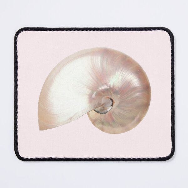 Item preview, pearly shiny pink nautilus shell it girl star girl sticker designed and sold by inainart.