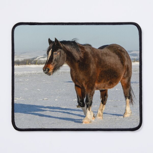Item preview, Pony in the Snow II designed and sold by Jane Stanley Photography.