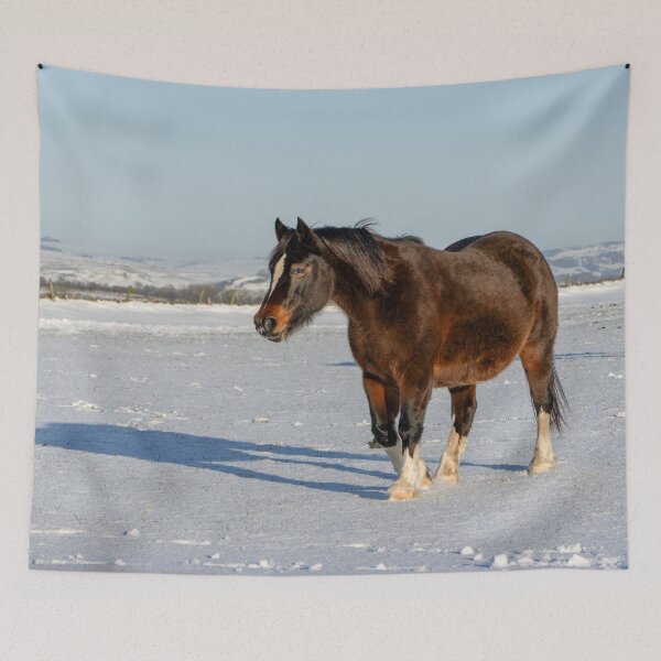 Item preview, Pony en la nieve II designed and sold by Jane Stanley Photography.