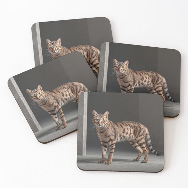 Item preview, Cat Verse Toyger Stryker Kinetic Instinct Portrait – Wild Tiger Stripe Cat Design designed and sold by ArtivaNest.