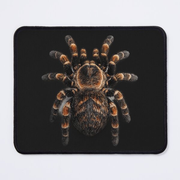 Item preview, Striped Mexican Redknee Tarantula Macro designed and sold by decasavalviki.