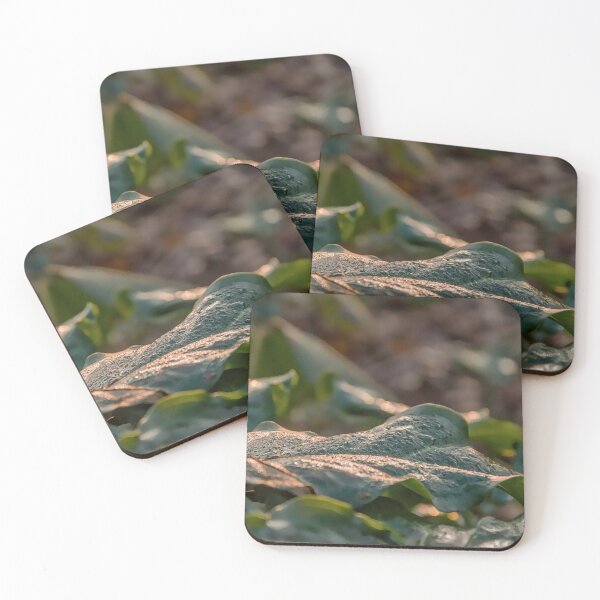 Item preview, Golden Dew on Morning Leaves designed and sold by ShotsbyDesiree.