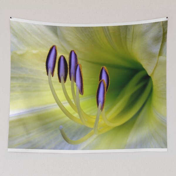 Item preview, Yellow Lily - 8 x 10 Format designed and sold by acellis13.