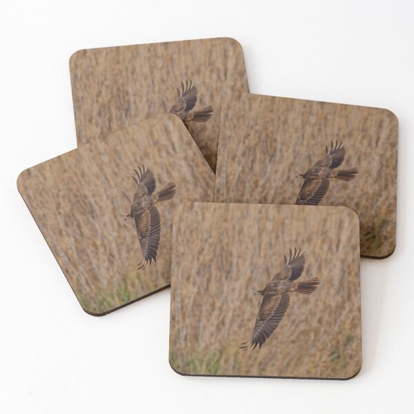 Item preview, Marsh Harrier - 2 designed and sold by Ralph Goldsmith.