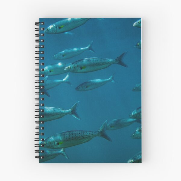 Item preview, School of fish  designed and sold by Marcia Riederer.