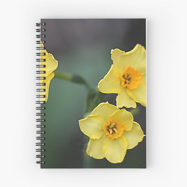Item preview, Jonquils designed and sold by Paul Pasco.