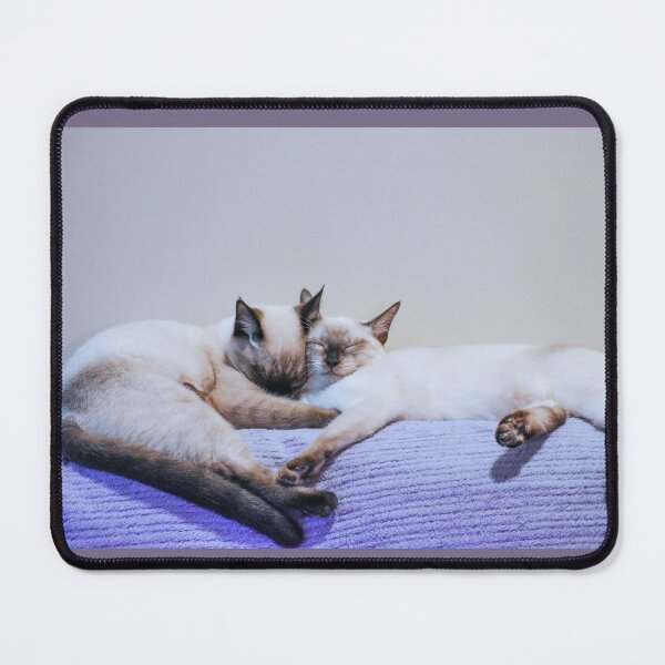 Item preview, Cats. Cute Siamese Sisters designed and sold by StylishDecor.