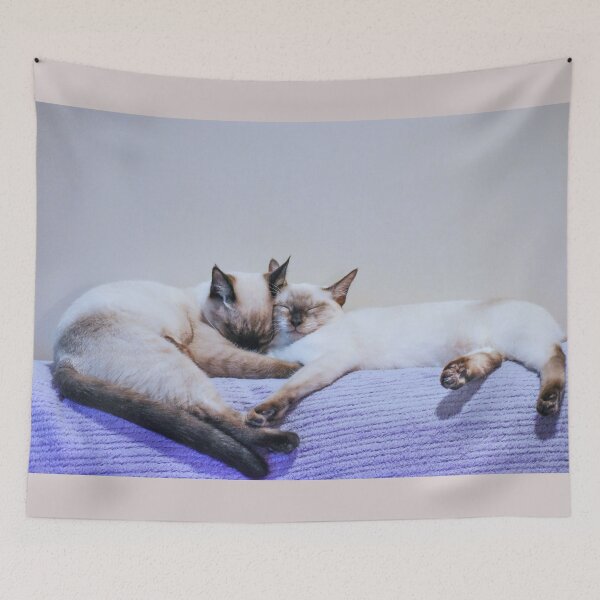 Item preview, Cats. Cute Siamese Sisters designed and sold by StylishDecor.