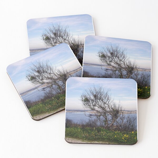 Item preview, Windswept Tree On Coastal Bluff Overlooking Calm Blue Sea With Wildflowers In Foreground designed and sold by Nmallia.