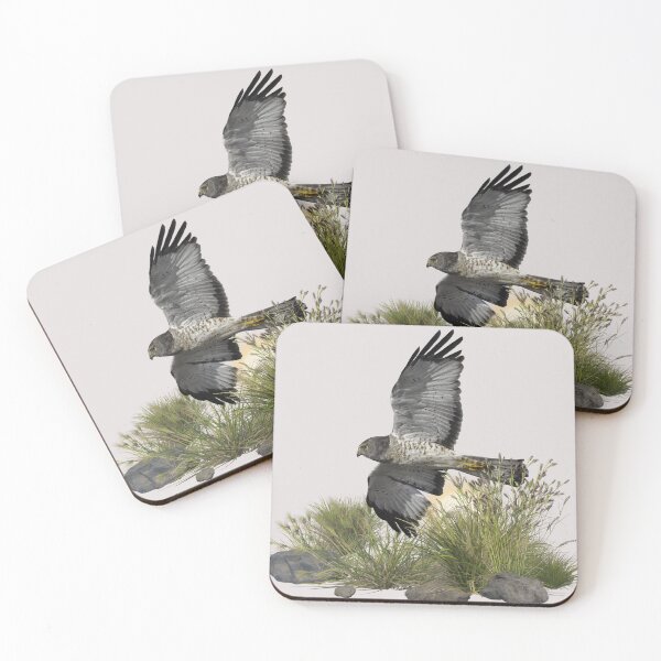Item preview, A Flying Northern Harrier Hawk Flies Over a Marsh in the Morning  designed and sold by Wild DeZigns .