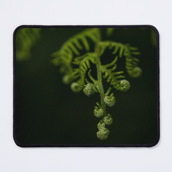 Item preview, Emerald Fern Unfurling , Moody Forest Macro Photography designed and sold by JSFrame.