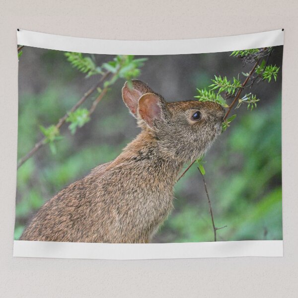 Item preview, Bunny breakfast  designed and sold by Glennphotos.