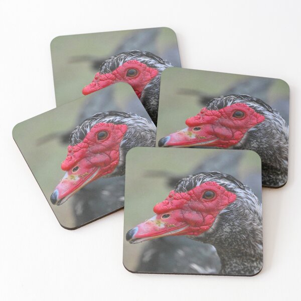 Item preview, Side eye  designed and sold by Glennphotos.