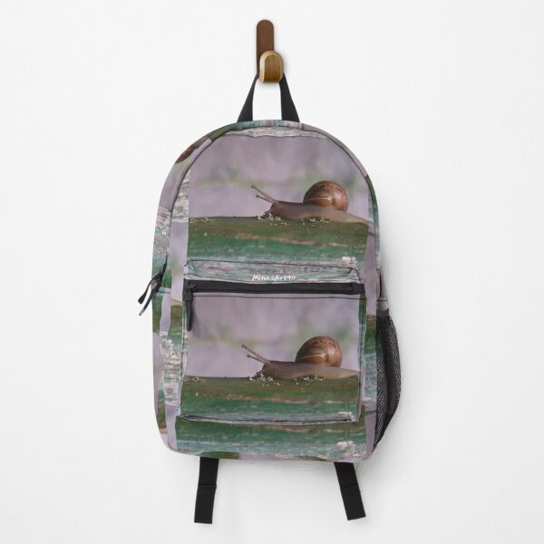 Item preview, A snail on a journey designed and sold by MinasArt90.