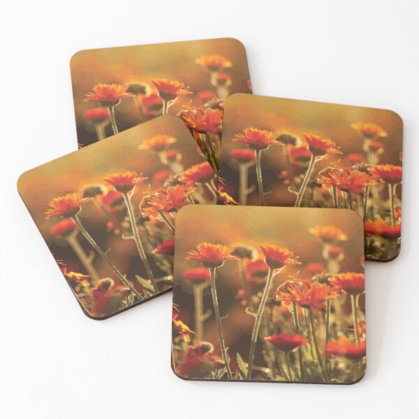 Item preview, Warm Sunlit Field of Orange Flowers designed and sold by Arturo Daniel Garcia Palomo.