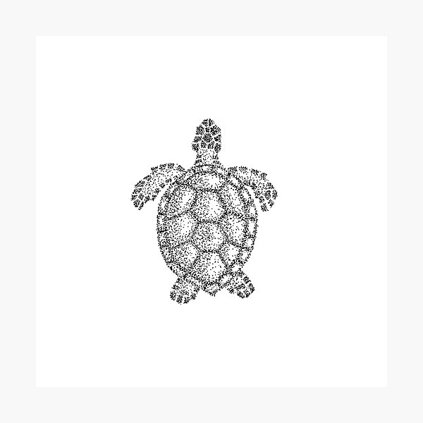 Chelonia Mydas Photographic Print