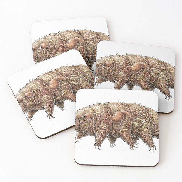 Item preview, Scientific Water Bear Illustration designed and sold by Chaoscience.