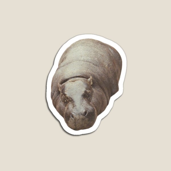 Item preview, Hippo designed and sold by Pitcher Perfect.