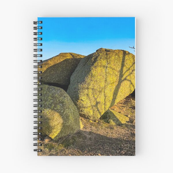 Item preview, Stone Age grave near Sylvitz on Rügen Island, DE in the winter designed and sold by Michael Brewer.