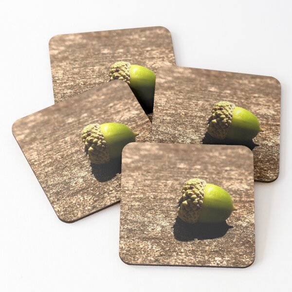 Item preview, acorn photograph designed and sold by GiSilver.