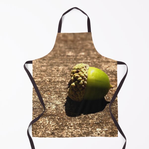 Item preview, acorn photograph designed and sold by GiSilver.