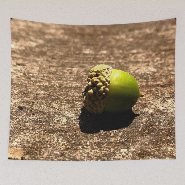 Item preview, acorn photograph designed and sold by GiSilver.