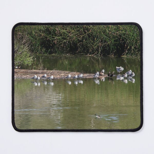 Item preview, Bird Business Meeting   designed and sold by heatherfriedman.