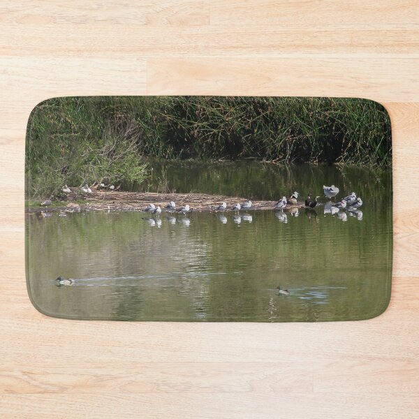 Item preview, Bird Business Meeting   designed and sold by heatherfriedman.
