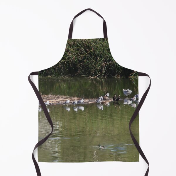 Item preview, Bird Business Meeting designed and sold by heatherfriedman.