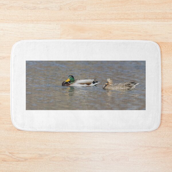 Item preview, Drake and Hen Mallard Ducks 3-9-2026 designed and sold by Thomasyoung.