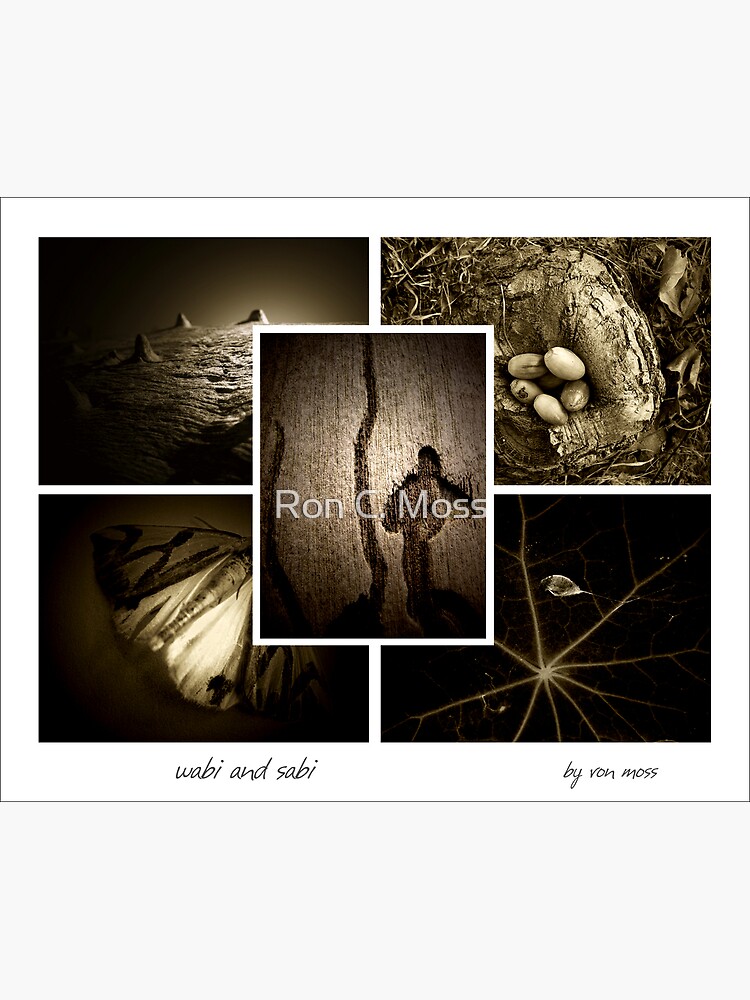 wabi and sabi by ronmoss
