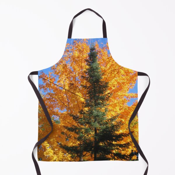 Item preview, FALL SEASON COLORS OF MAPLE TREE AND PINE TREE photo by frasues designed and sold by frasues.