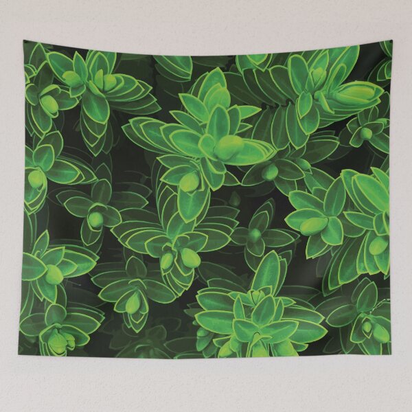 Item preview, Green Succulent Pattern on Dark Background designed and sold by Arturo Daniel Garcia Palomo.