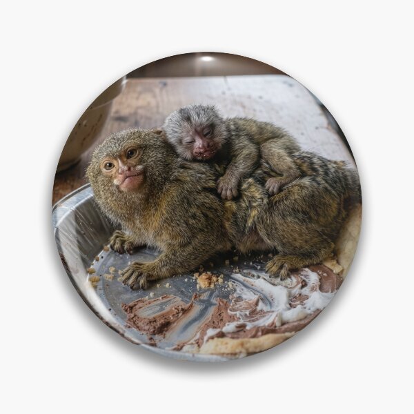 Item preview, Pygmy Marmosets Nab Some Pie designed and sold by Tridentulus.